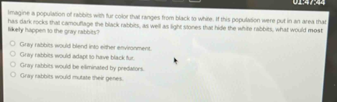 imagine a population of rabbits with fur color that ranges from black to white. if this population were put in an area that has dark rocks that camouflage the black rabbits, as well as light stones that hide the white rabbits, what would most likely happen to the gray rabbits?\ngray rabbits would blend into either environment.\ngray rabbits would adapt to have black fur.\ngray rabbits would be eliminated by predators.\ngray rabbits would mutate their genes.