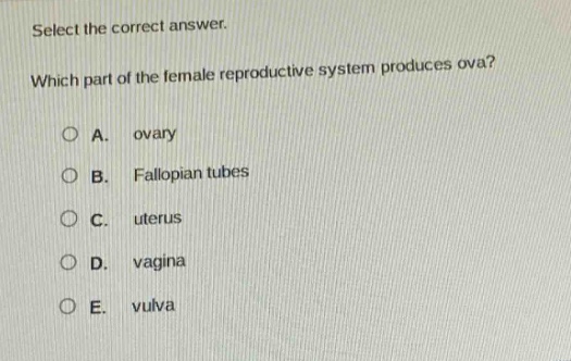 select the correct answer. which part of the female reproductive system produces ova? a. ovary b. fallopian tubes c. uterus d. vagina e. vulva