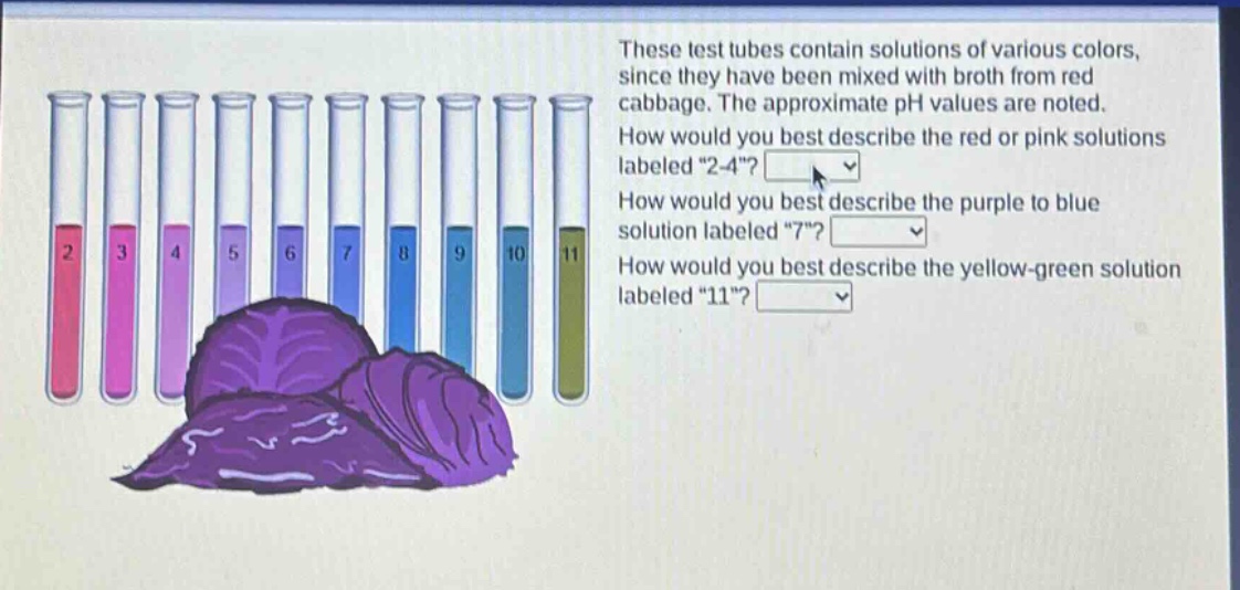 these test tubes contain solutions of various colors, since they have been mixed with broth from red cabbage. the approximate ph values are noted. how would you best describe the red or pink solutions labeled \2 - 4\? how would you best describe the purple to blue solution labeled \7\? how would you best describe the yellow - green solution labeled \11\?