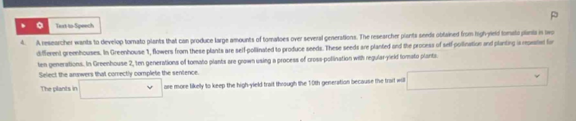a researcher wants to develop tomato plants that can produce large amounts of tomatoes over several generations. the researcher plants seeds obtained from high - yield tomato plants in two different greenhouses. in greenhouse 1, flowers from these plants are self - pollinated to produce seeds. these seeds are planted and the process of self - pollination and planting is repeated for ten generations. in greenhouse 2, ten generations of tomato plants are grown using a process of cross - pollination with regular - yield tomato plants. select the answers that correctly complete the sentence. the plants in are more likely to keep the high - yield trait through the 10th generation because the trait will