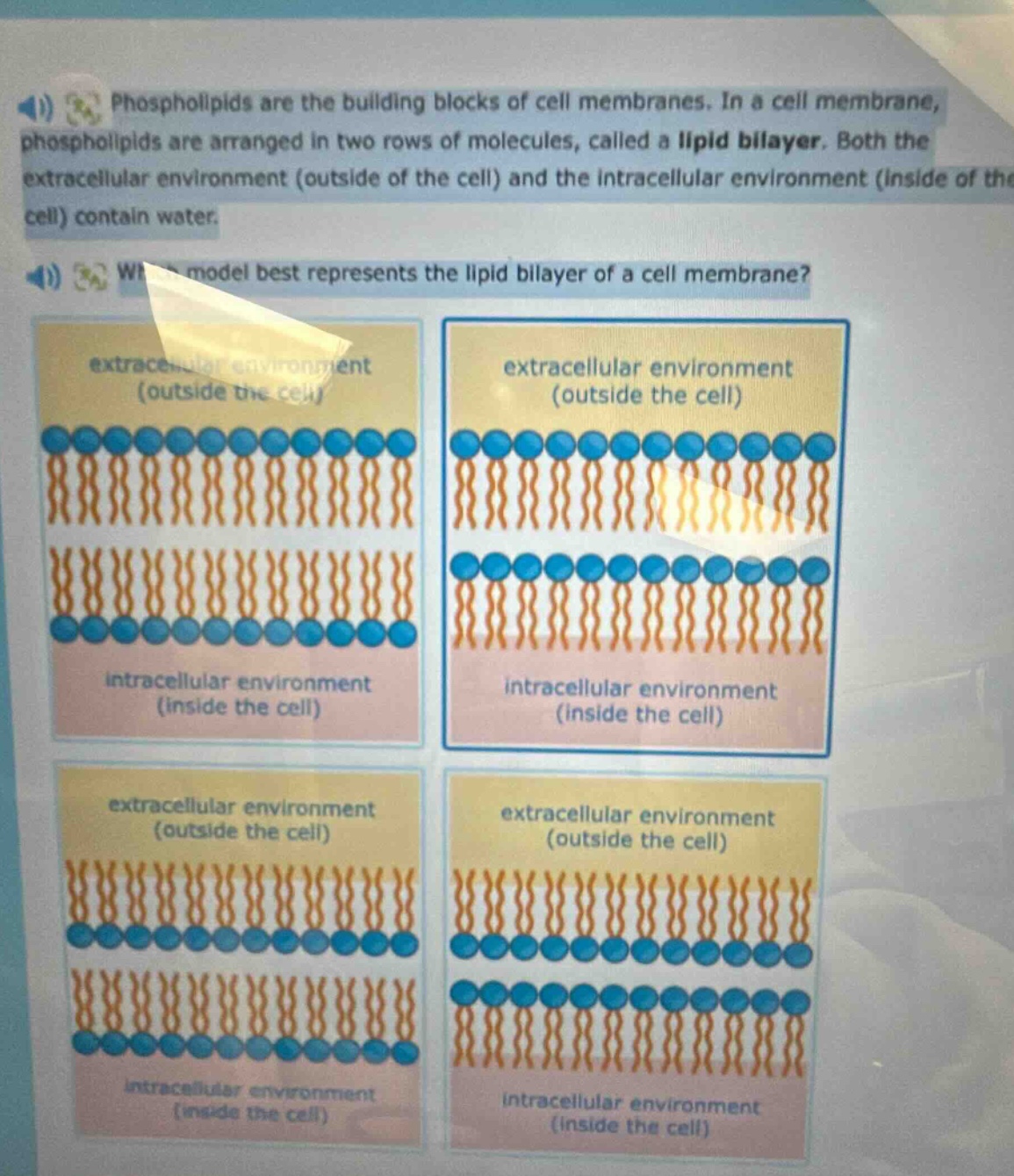phospholipids are the building blocks of cell membranes. in a cell membrane, phospholipids are arranged in two rows of molecules, called a lipid bilayer. both the extracellular environment (outside of the cell) and the intracellular environment (inside of the cell) contain water. which model best represents the lipid bilayer of a cell membrane?