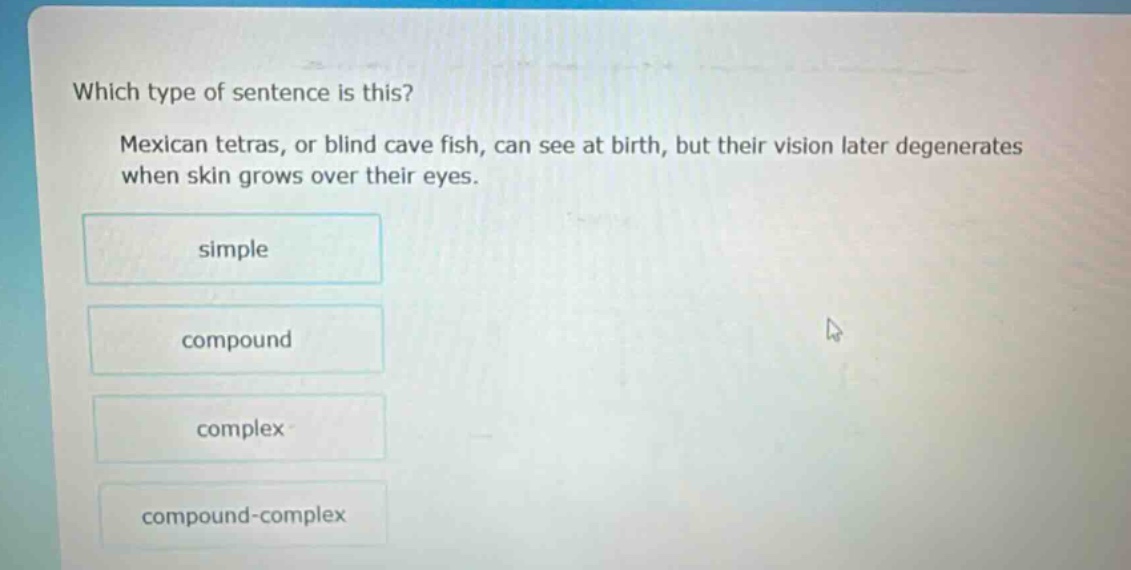 which type of sentence is this? mexican tetras, or blind cave fish, can see at birth, but their vision later degenerates when skin grows over their eyes. simple compound complex compound - complex