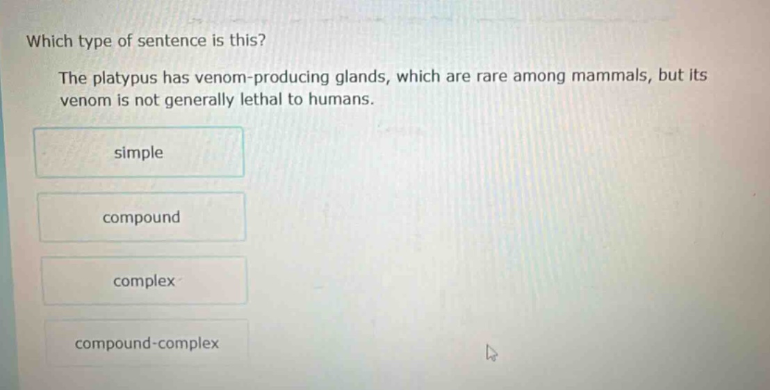 which type of sentence is this? the platypus has venom - producing glands, which are rare among mammals, but its venom is not generally lethal to humans. simple compound complex compound - complex