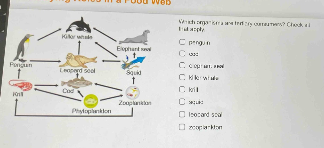 which organisms are tertiary consumers? check all that apply. penguin cod elephant seal killer whale krill squid leopard seal zooplankton