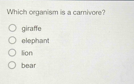 which organism is a carnivore? giraffe elephant lion bear