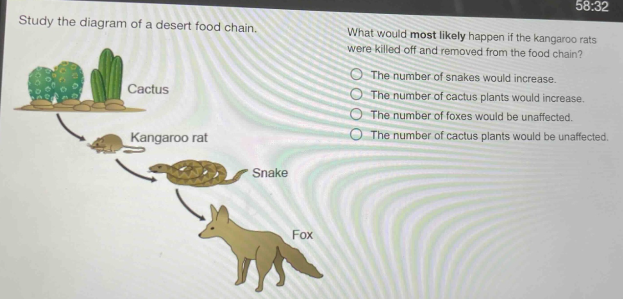 study the diagram of a desert food chain. what would most likely happen if the kangaroo rats were killed off and removed from the food chain? the number of snakes would increase. the number of cactus plants would increase. the number of foxes would be unaffected. the number of cactus plants would be unaffected.