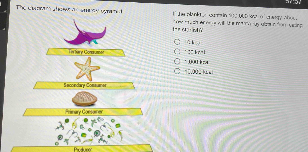 the diagram shows an energy pyramid. if the plankton contain 100,000 kcal of energy, about how much energy will the manta ray obtain from eating the starfish? 10 kcal 100 kcal 1,000 kcal 10,000 kcal