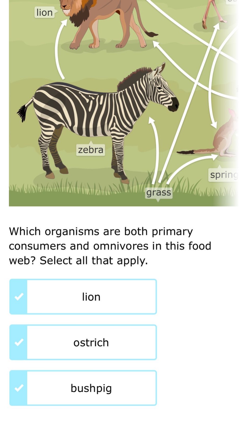 which organisms are both primary consumers and omnivores in this food web? select all that apply. lion ostrich bushpig