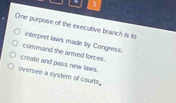 one purpose of the executive branch is to\ninterpret laws made by congress.\ncommand the armed forces.\ncreate and pass new laws.\noversee a system of courts.