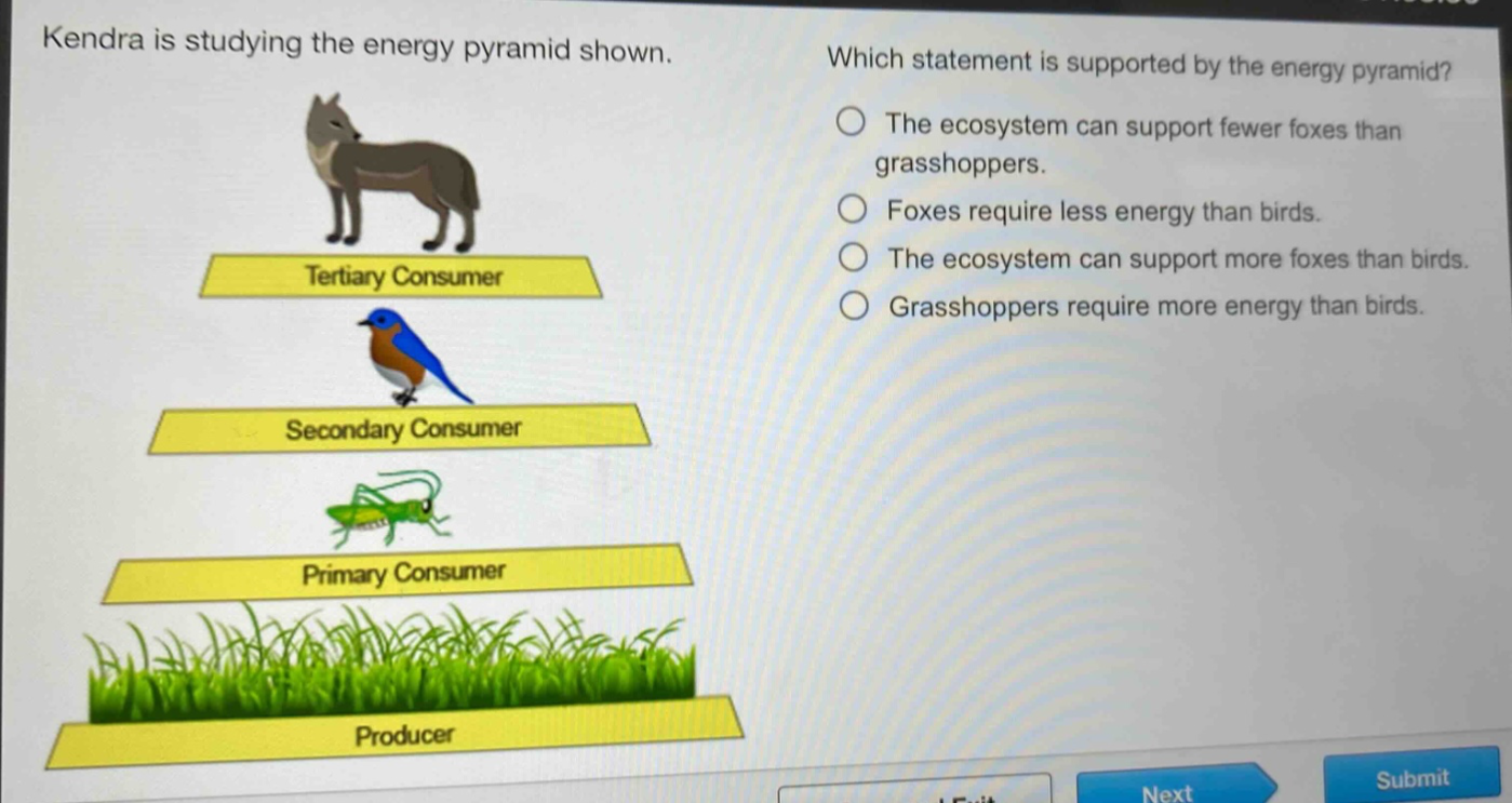 kendra is studying the energy pyramid shown. which statement is supported by the energy pyramid? the ecosystem can support fewer foxes than grasshoppers. foxes require less energy than birds. the ecosystem can support more foxes than birds. grasshoppers require more energy than birds.