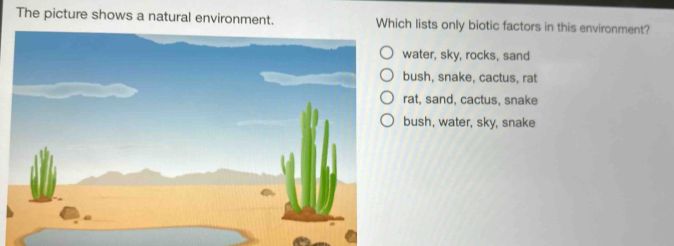 the picture shows a natural environment. which lists only biotic factors in this environment? water, sky, rocks, sand bush, snake, cactus, rat rat, sand, cactus, snake bush, water, sky, snake