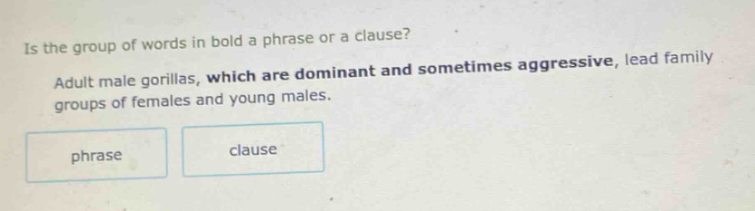 is the group of words in bold a phrase or a clause? adult male gorillas, which are dominant and sometimes aggressive, lead family groups of females and young males. phrase clause