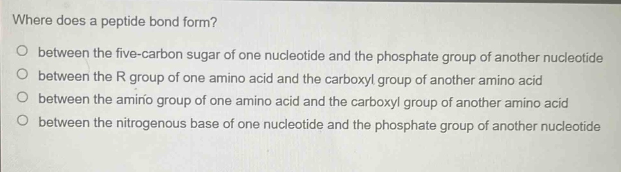 where does a peptide bond form?\no between the five - carbon sugar of one nucleotide and the phosphate group of another nucleotide\no between the r group of one amino acid and the carboxyl group of another amino acid\no between the amino group of one amino acid and the carboxyl group of another amino acid\no between the nitrogenous base of one nucleotide and the phosphate group of another nucleotide