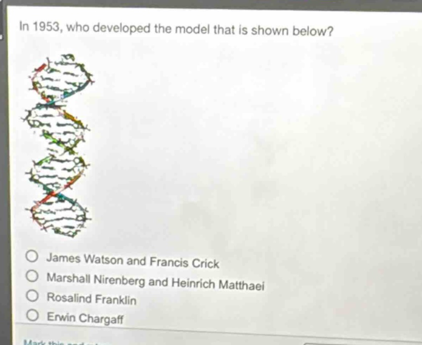 in 1953, who developed the model that is shown below? james watson and francis crick marshall nirenberg and heinrich matthaei rosalind franklin erwin chargaff