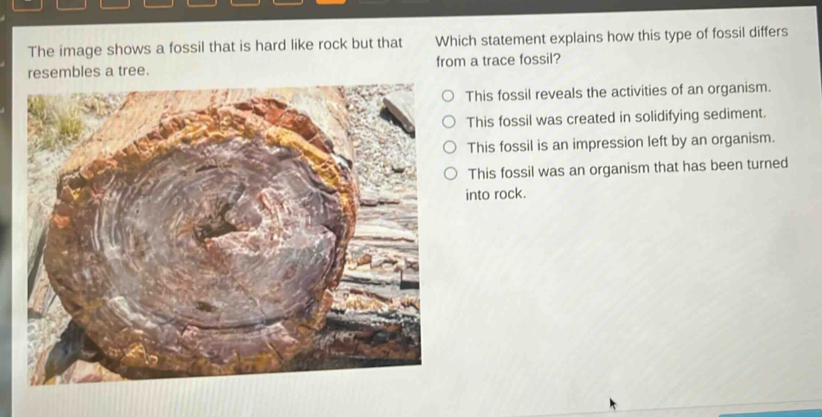 the image shows a fossil that is hard like rock but that resembles a tree. which statement explains how this type of fossil differs from a trace fossil? this fossil reveals the activities of an organism. this fossil was created in solidifying sediment. this fossil is an impression left by an organism. this fossil was an organism that has been turned into rock.