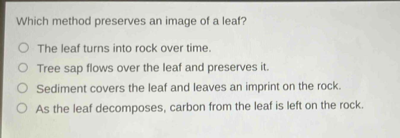 which method preserves an image of a leaf? the leaf turns into rock over time. tree sap flows over the leaf and preserves it. sediment covers the leaf and leaves an imprint on the rock. as the leaf decomposes, carbon from the leaf is left on the rock.