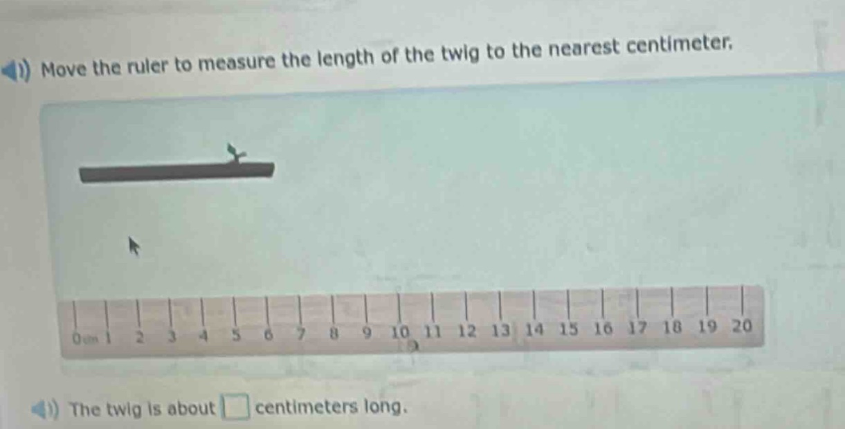 move the ruler to measure the length of the twig to the nearest centimeter. the twig is about centimeters long.