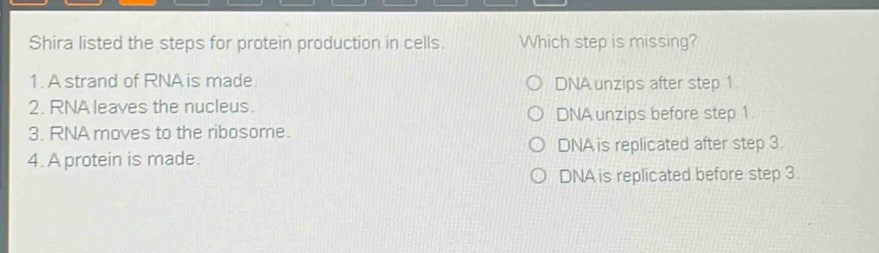 shira listed the steps for protein production in cells. which step is missing? 1. a strand of rna is made. 2. rna leaves the nucleus. 3. rna moves to the ribosome. 4. a protein is made. dna unzips after step 1. dna unzips before step 1. dna is replicated after step 3. dna is replicated before step 3.