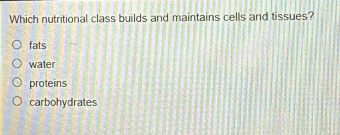 which nutritional class builds and maintains cells and tissues?\no fats\no water\no proteins\no carbohydrates