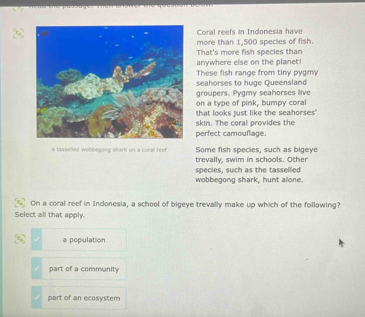 coral reefs in indonesia have more than 1,500 species of fish. thats more fish species than anywhere else on the planet! these fish range from tiny pygmy seahorses to huge queensland groupers. pygmy seahorses live on a type of pink, bumpy coral that looks just like the seahorses skin. the coral provides the perfect camouflage. some fish species, such as bigeye trevally, swim in schools. other species, such as the tasselled wobbegong shark, hunt alone. on a coral reef in indonesia, a school of bigeye trevally make up which of the following? select all that apply. a population part of a community part of an ecosystem