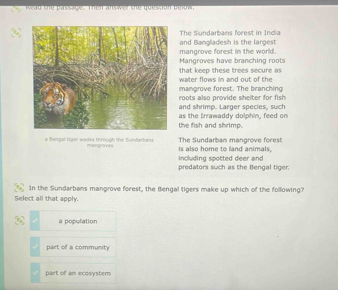 read the passage. then answer the question below. the sundarbans forest in india and bangladesh is the largest mangrove forest in the world. mangroves have branching roots that keep these trees secure as water flows in and out of the mangrove forest. the branching roots also provide shelter for fish and shrimp. larger species, such as the irrawaddy dolphin, feed on the fish and shrimp. the sundarban mangrove forest is also home to land animals, including spotted deer and predators such as the bengal tiger. in the sundarbans mangrove forest, the bengal tigers make up which of the following? select all that apply. a population part of a community part of an ecosystem