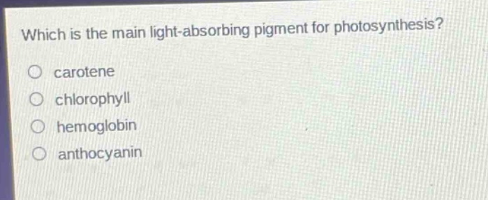 which is the main light - absorbing pigment for photosynthesis?\ncarotene\nchlorophyll\nhemoglobin\nanthocyanin