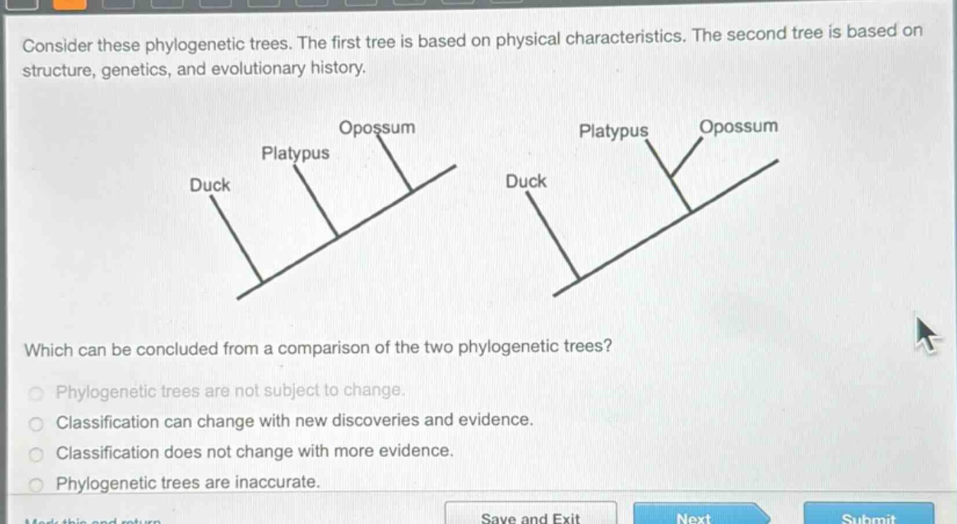 consider these phylogenetic trees. the first tree is based on physical characteristics. the second tree is based on structure, genetics, and evolutionary history. which can be concluded from a comparison of the two phylogenetic trees? phylogenetic trees are not subject to change. classification can change with new discoveries and evidence. classification does not change with more evidence. phylogenetic trees are inaccurate.
