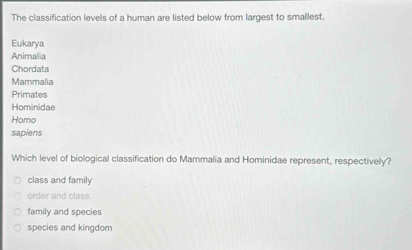 the classification levels of a human are listed below from largest to smallest. eukarya animalia chordata mammalia primates hominidae homo sapiens which level of biological classification do mammalia and hominidae represent, respectively? class and family order and class family and species species and kingdom