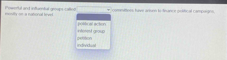 powerful and influential groups called committees have arisen to finance political campaigns, mostly on a national level. political action interest group petition individual
