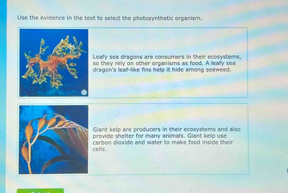 use the evidence in the text to select the photosynthetic organism. leafy sea dragons are consumers in their ecosystems, so they rely on other organisms as food. a leafy sea dragons leaf - like fins help it hide among seaweed. giant kelp are producers in their ecosystems and also provide shelter for many animals. giant kelp use carbon dioxide and water to make food inside their cells.
