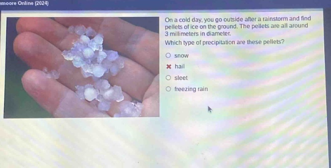 on a cold day, you go outside after a rainstorm and find pellets of ice on the ground. the pellets are all around 3 millimeters in diameter. which type of precipitation are these pellets? snow hail sleet freezing rain