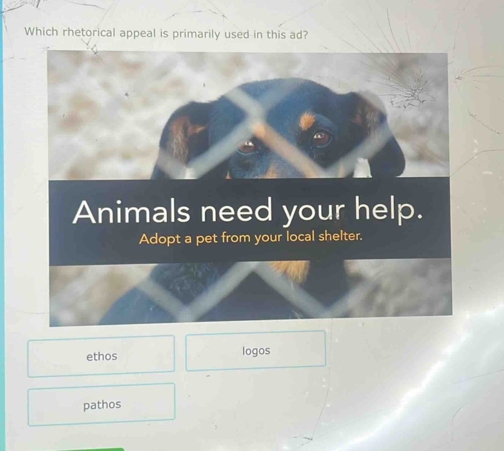 which rhetorical appeal is primarily used in this ad? animals need your help. adopt a pet from your local shelter. ethos logos pathos
