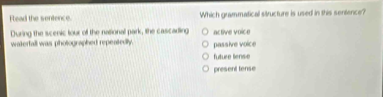 read the sentence. during the scenic tour of the national park, the cascading waterfall was photographed repeatedly. which grammatical structure is used in this sentence? active voice passive voice future tense present tense