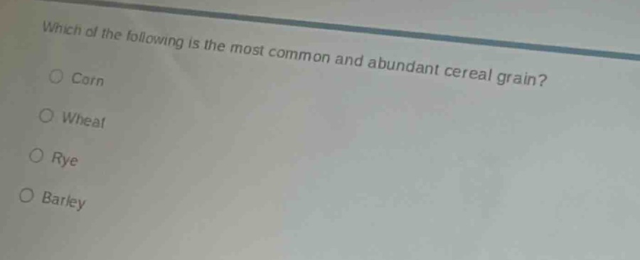 which of the following is the most common and abundant cereal grain?\ncorn\nwheat\nrye\nbarley