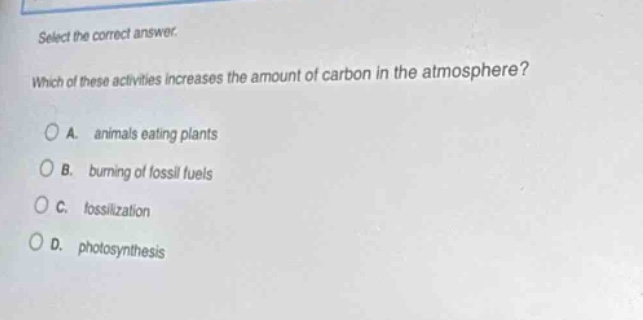 select the correct answer. which of these activities increases the amount of carbon in the atmosphere? a. animals eating plants b. burning of fossil fuels c. fossilization d. photosynthesis