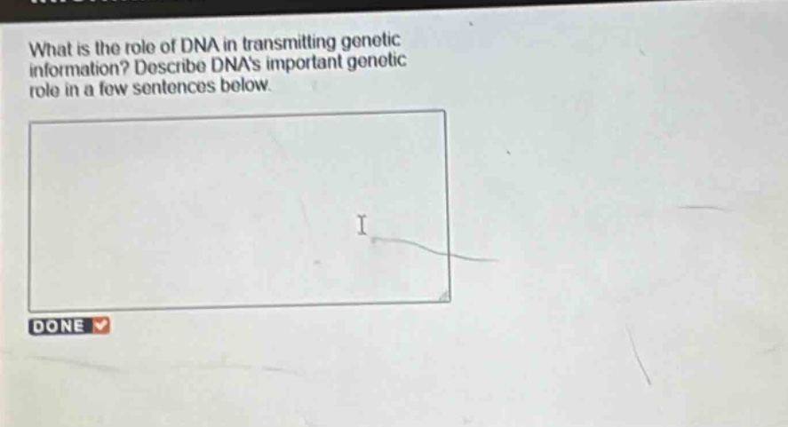 what is the role of dna in transmitting genetic information? describe dnas important genetic role in a few sentences below.