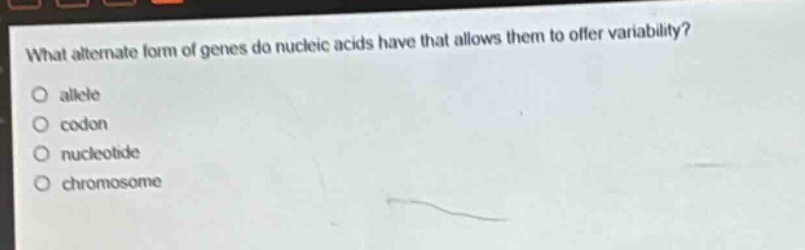 what alternate form of genes do nucleic acids have that allows them to offer variability?\no allele\no codon\no nucleotide\no chromosome
