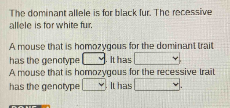 the dominant allele is for black fur. the recessive allele is for white fur. a mouse that is homozygous for the dominant trait has the genotype. it has. a mouse that is homozygous for the recessive trait has the genotype. it has.