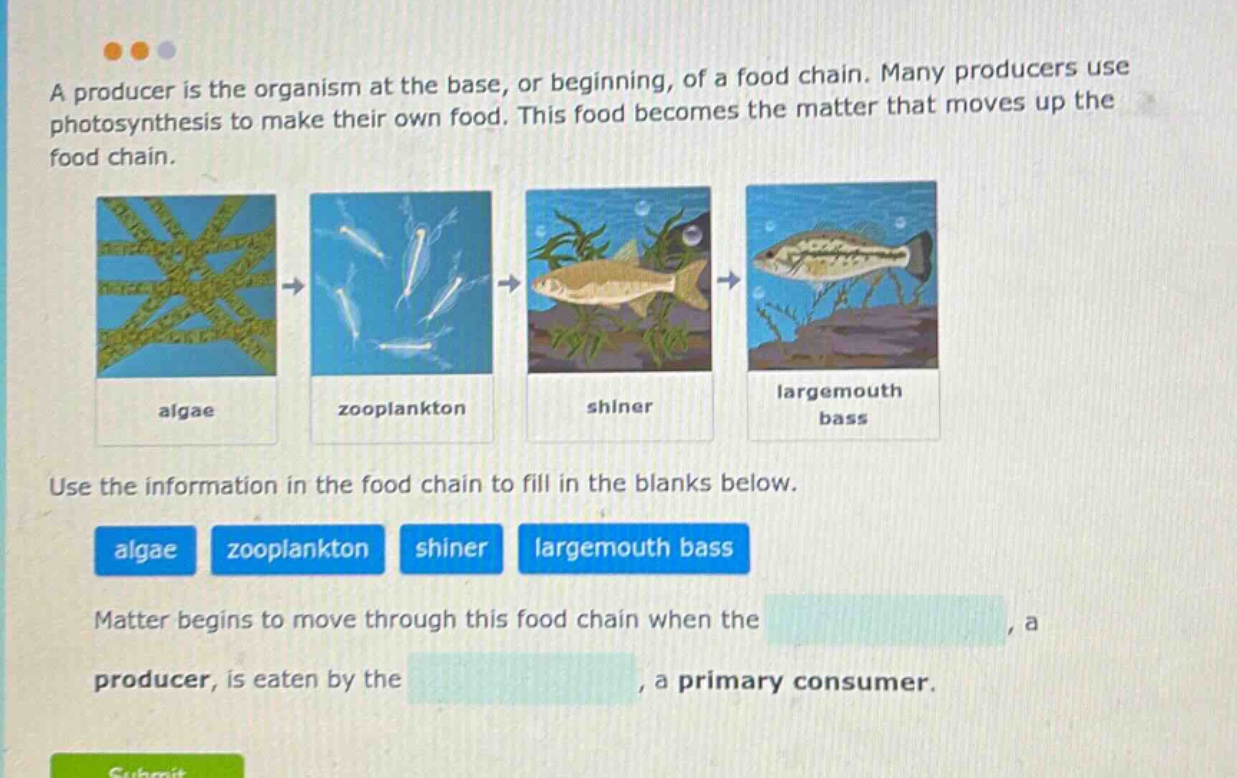 a producer is the organism at the base, or beginning, of a food chain. many producers use photosynthesis to make their own food. this food becomes the matter that moves up the food chain. use the information in the food chain to fill in the blanks below. matter begins to move through this food chain when the , a producer, is eaten by the , a primary consumer.