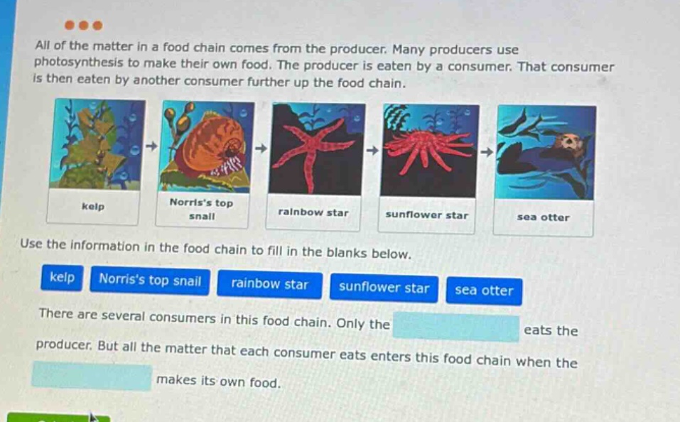 all of the matter in a food chain comes from the producer. many producers use photosynthesis to make their own food. the producer is eaten by a consumer. that consumer is then eaten by another consumer further up the food chain. use the information in the food chain to fill in the blanks below. there are several consumers in this food chain. only the eats the producer. but all the matter that each consumer eats enters this food chain when the makes its own food.