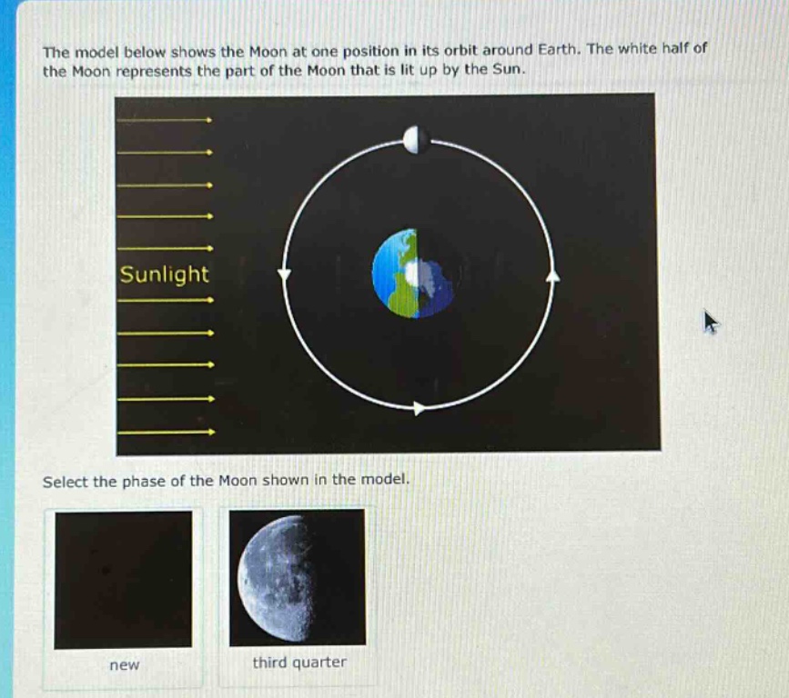 the model below shows the moon at one position in its orbit around earth. the white half of the moon represents the part of the moon that is lit up by the sun. select the phase of the moon shown in the model. new third quarter