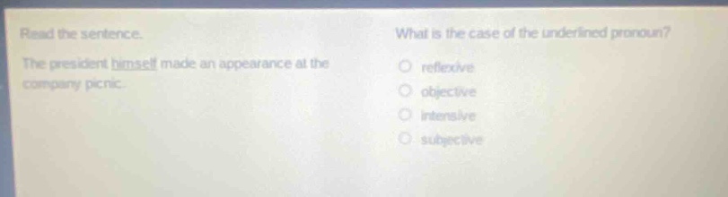read the sentence. the president himself made an appearance at the company picnic. what is the case of the underlined pronoun? reflexive objective intensive subjective
