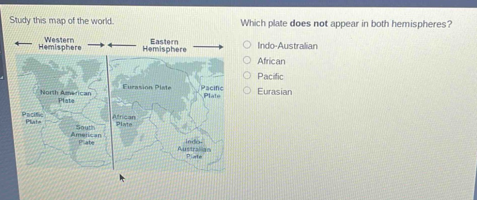 study this map of the world. which plate does not appear in both hemispheres? western hemisphere eastern hemisphere indo - australian african pacific eurasian north american plate eurasian plate pacific plate african plate pacific plate south american plate indo - australian plate