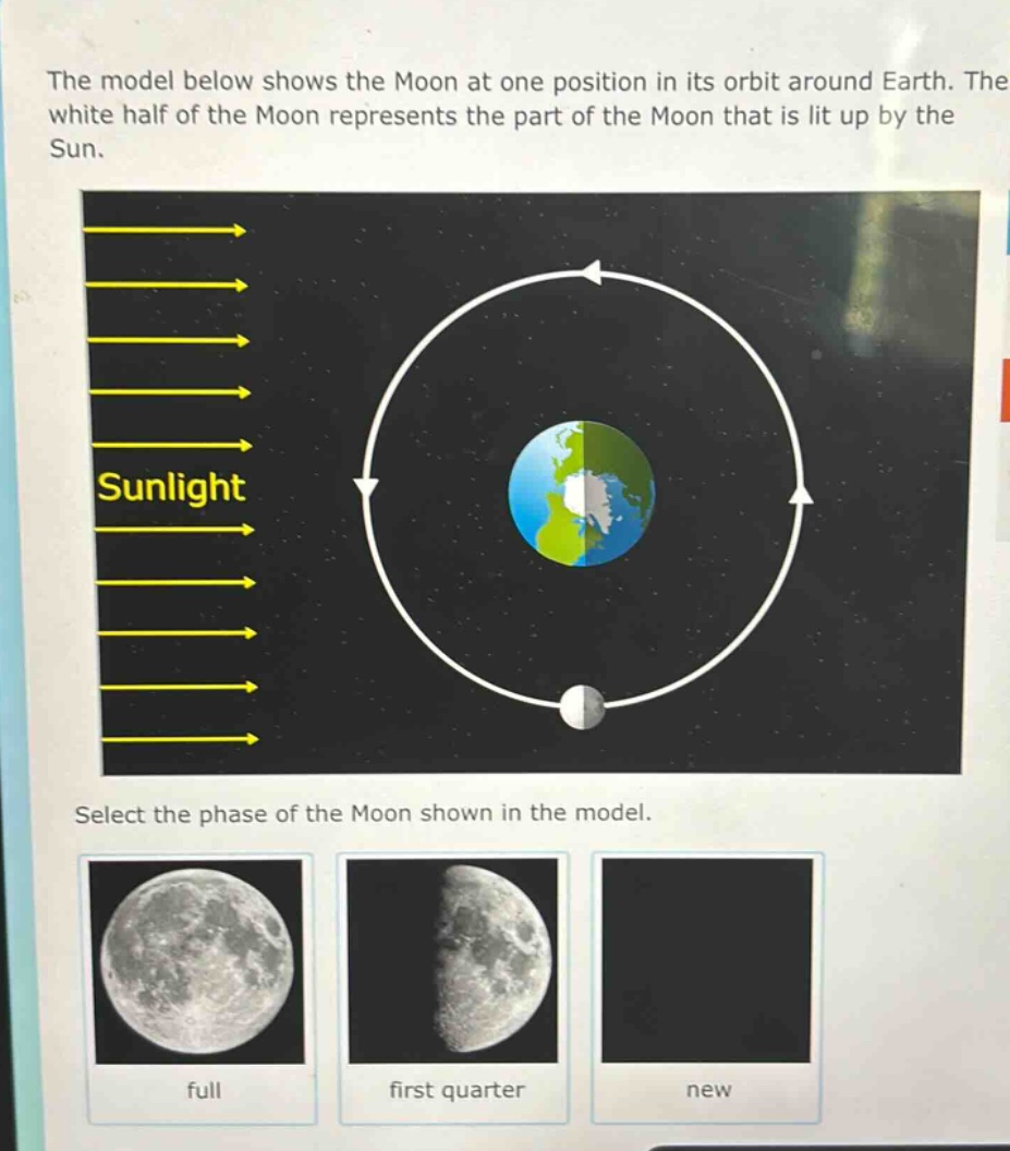 the model below shows the moon at one position in its orbit around earth. the white half of the moon represents the part of the moon that is lit up by the sun. select the phase of the moon shown in the model. full first quarter new