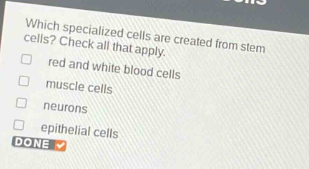 which specialized cells are created from stem cells? check all that apply. red and white blood cells muscle cells neurons epithelial cells done