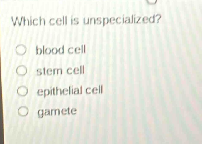 which cell is unspecialized?\no blood cell\no stem cell\no epithelial cell\no gamete