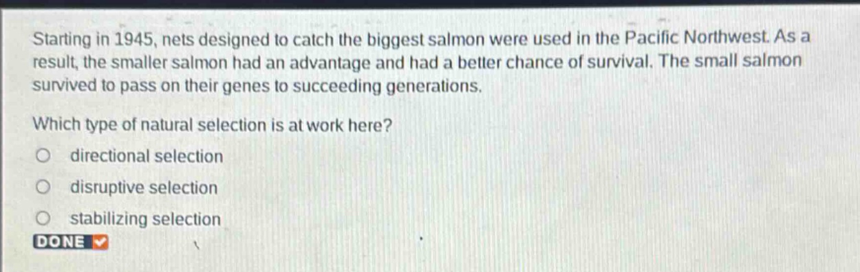 starting in 1945, nets designed to catch the biggest salmon were used in the pacific northwest. as a result, the smaller salmon had an advantage and had a better chance of survival. the small salmon survived to pass on their genes to succeeding generations. which type of natural selection is at work here? directional selection disruptive selection stabilizing selection done