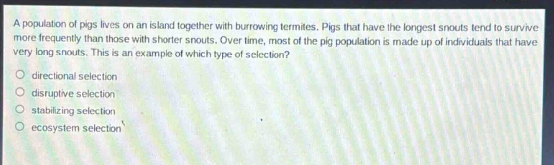 a population of pigs lives on an island together with burrowing termites. pigs that have the longest snouts tend to survive more frequently than those with shorter snouts. over time, most of the pig population is made up of individuals that have very long snouts. this is an example of which type of selection?\no directional selection\no disruptive selection\no stabilizing selection\no ecosystem selection