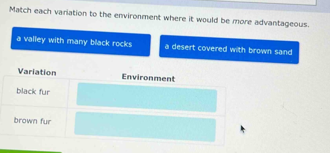 match each variation to the environment where it would be more advantageous. a valley with many black rocks a desert covered with brown sand variation environment black fur brown fur