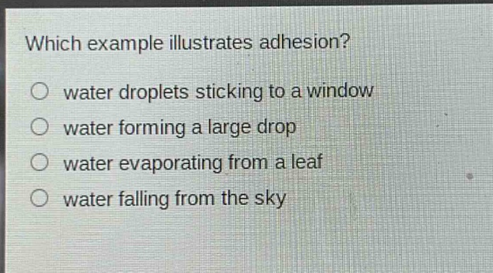 which example illustrates adhesion? water droplets sticking to a window water forming a large drop water evaporating from a leaf water falling from the sky